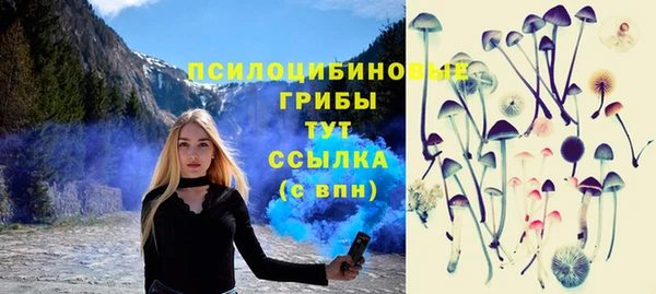прущие крисы Горно-Алтайск
